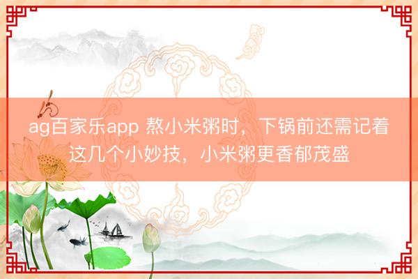 ag百家乐app 熬小米粥时,下锅前还需记着这几个小妙技,小米粥更香郁茂盛
