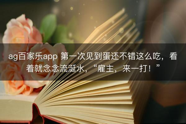 ag百家乐app 第一次见到蛋还不错这么吃，看着就念念流涎水，“雇主，来一打！”