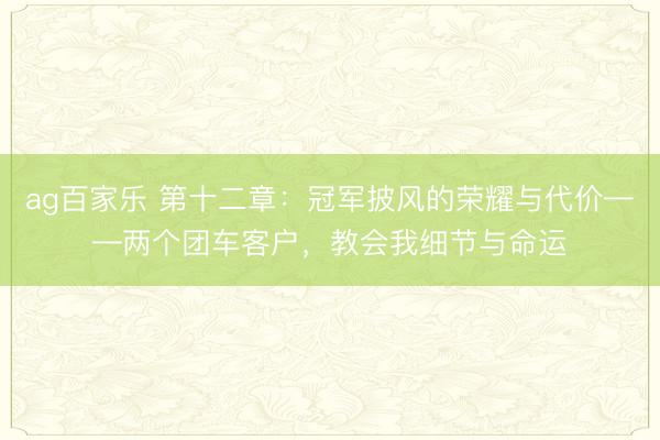 ag百家乐 第十二章：冠军披风的荣耀与代价——两个团车客户，教会我细节与命运