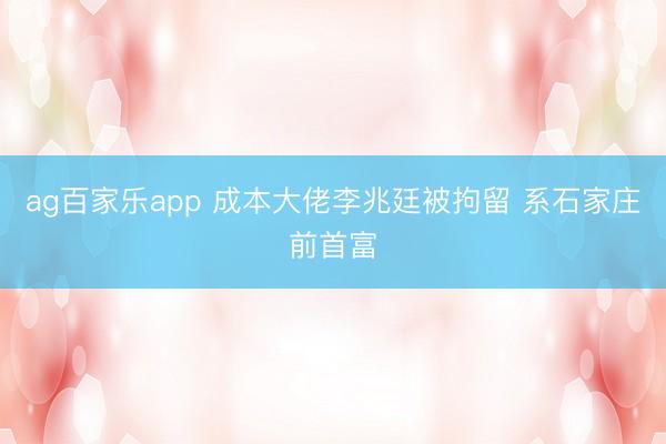 ag百家乐app 成本大佬李兆廷被拘留 系石家庄前首富