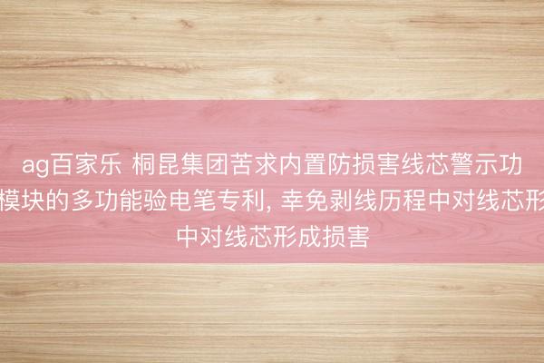 ag百家乐 桐昆集团苦求内置防损害线芯警示功能剥线模块的多功能验电笔专利， 幸免剥线历程中对线芯形成损害