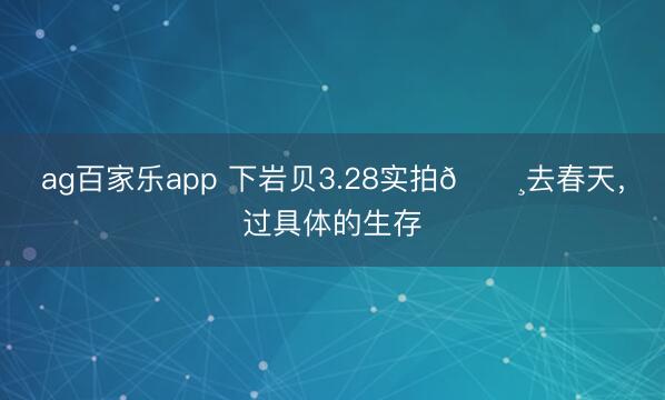 ag百家乐app 下岩贝3.28实拍🌸去春天，过具体的生存