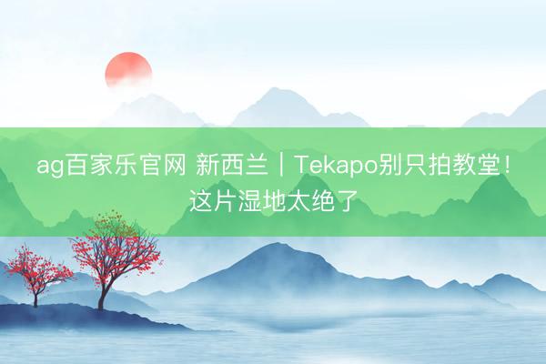 ag百家乐官网 新西兰|Tekapo别只拍教堂!这片湿地太绝了