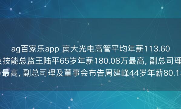 ag百家乐app 南大光电高管平均年薪113.60万: 总裁、非寂然董事及技能总监王陆平65岁年薪180.08万最高， 副总司理及董事会布告周建峰44岁年薪80.13万最低