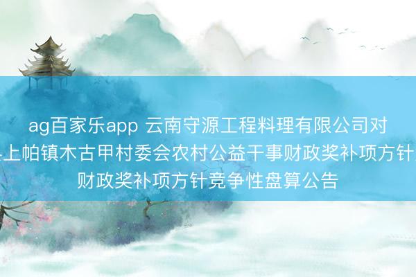 ag百家乐app 云南守源工程料理有限公司对于怒江州福贡县上帕镇木古甲村委会农村公益干事财政奖补项方针竞争性盘算公告