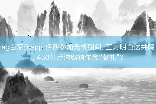 ag百家乐app 伊朗参加无核期间， 三方明白达共鸣， 450公斤浓缩铀作念“献礼”?