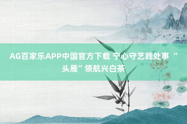 AG百家乐APP中国官方下载 宁心守艺践处事 “头雁”领航兴白茶