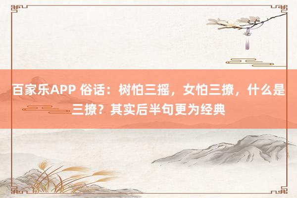 百家乐APP 俗话：树怕三摇，女怕三撩，什么是三撩？其实后半句更为经典