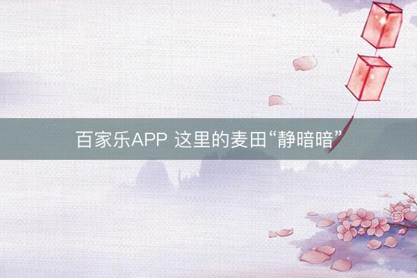 百家乐APP 这里的麦田“静暗暗”