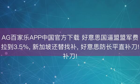 AG百家乐APP中国官方下载 好意思国逼盟盟军费拉到3.5%, 新加坡还替找补, 好意思防长平直补刀!