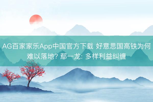 AG百家家乐App中国官方下载 好意思国高铁为何难以落地? 鄢一龙: 多样利益纠缠