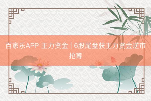 百家乐APP 主力资金 | 6股尾盘获主力资金逆市抢筹