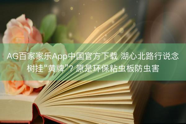 AG百家家乐App中国官方下载 湖心北路行说念树挂“黄牌”? 原是环保粘虫板防虫害